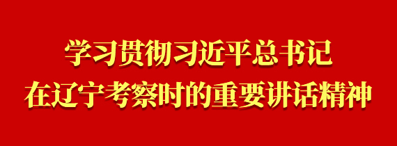 習貫徹習近平總書記在遼寧考察